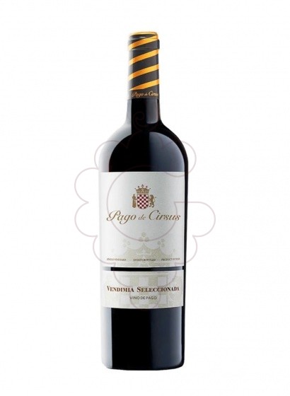 Pago De Cirsus Vend Sel Magnum 2022