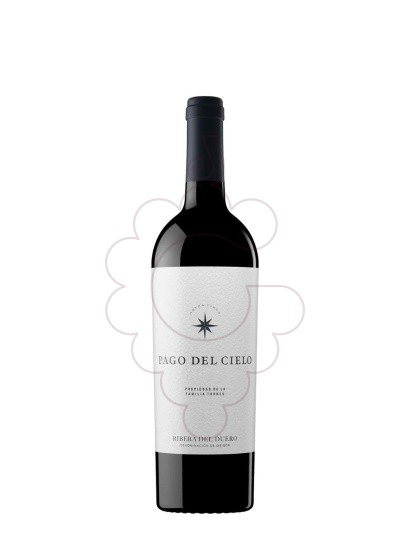 Foto Pago del cielo 2019 75 cl vino tinto