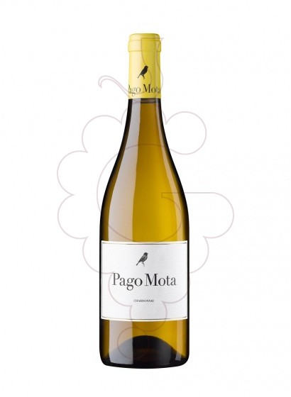 Foto Pago Mota Chardonnay vino blanco