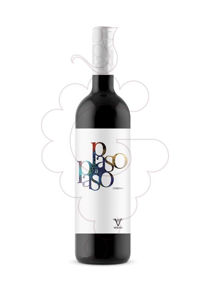 Foto Paso a Paso Cosecha  vino tinto