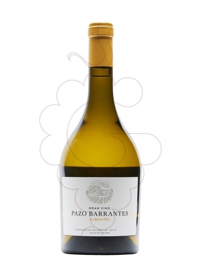 Pazo Barrantes Gran Vino 2021