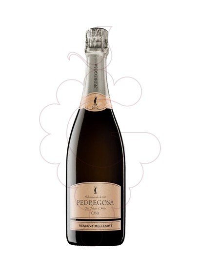 Pedregosa Reserva Millésimé 2019