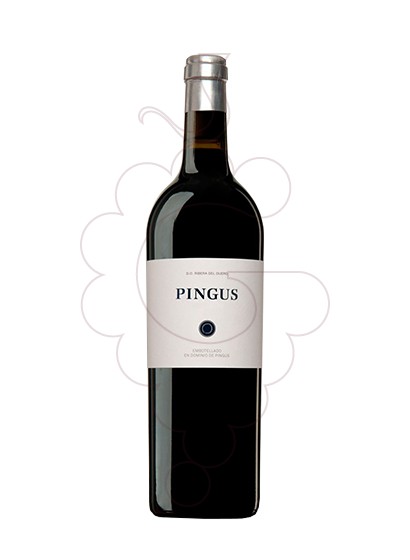 Pingus 2013