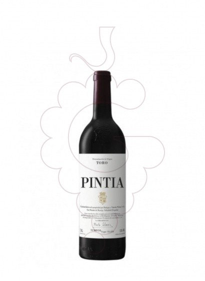 Pintia (mini) 2019