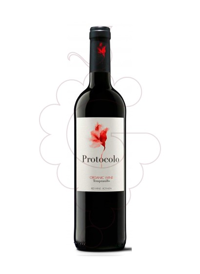 Protocolo Tinto Orgánico 2021