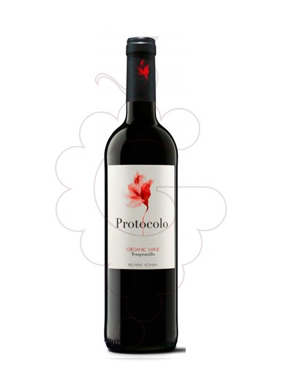 Protocolo Tinto Orgánico 2020