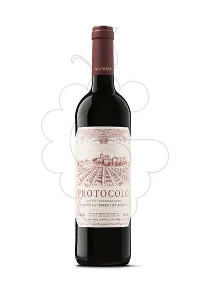Protocolo Tinto 2022