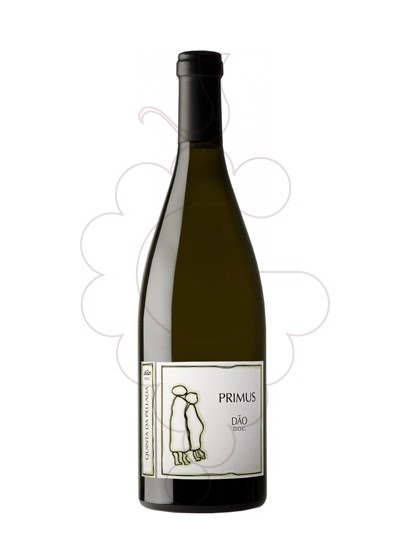 Foto Quinta da Pellada Primus vino blanco