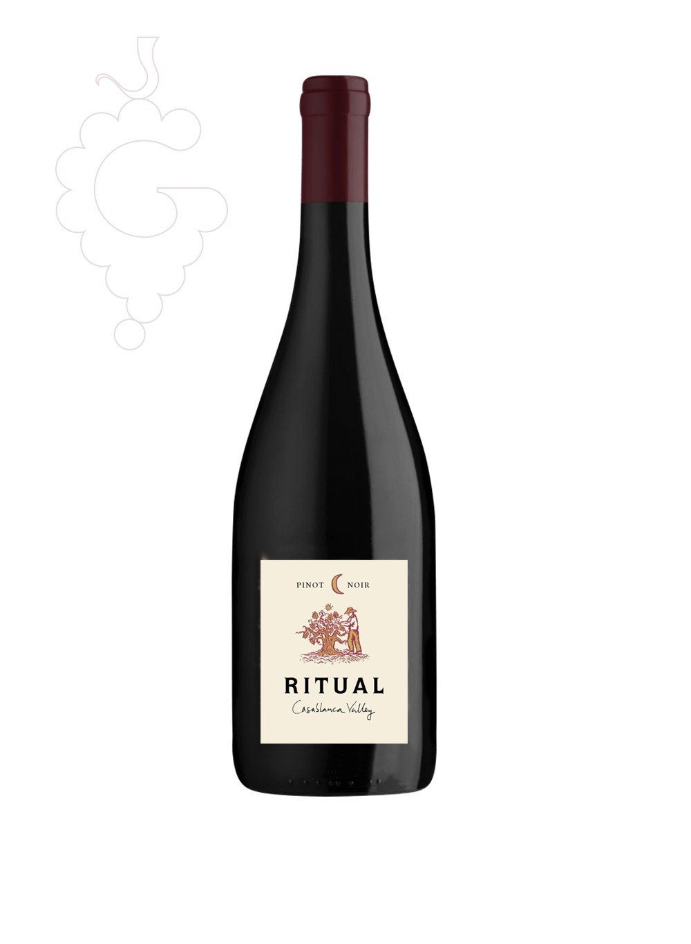 Foto Ritual Pinot Noir vino tinto