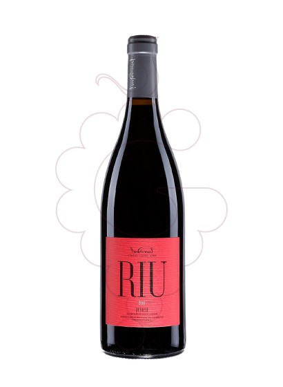 Riu