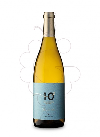 Sauvignon 10 Al Quadrat 2021