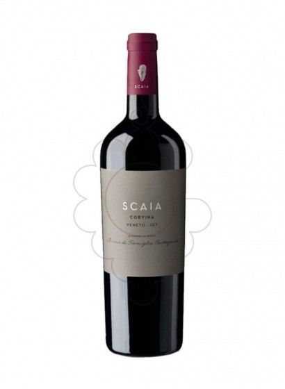 Scaia Corvina Negre 2021