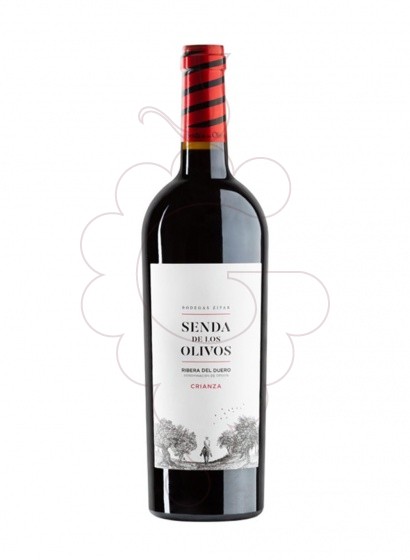 Senda De Los Olivos Cr 2019