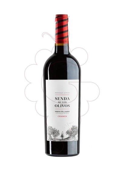 Senda De Los Olivos Cr Magnum 2019