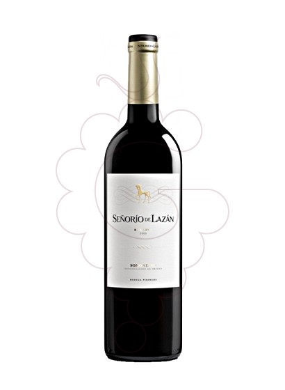 Señorío De Lazán Reserva Magnum