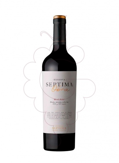 Septima Obra Malbec Ng 22 2022