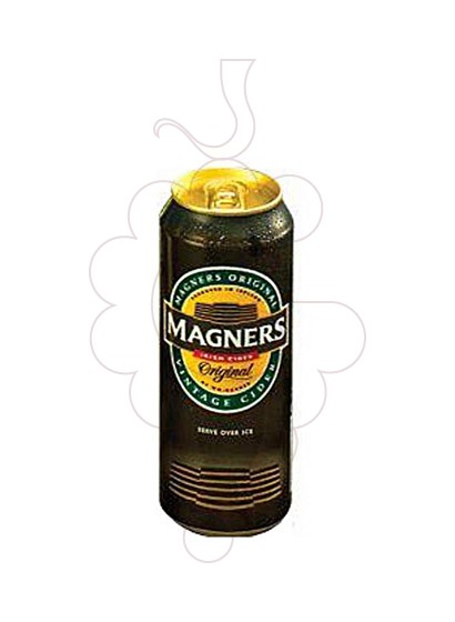 Foto Sidra Magners lata