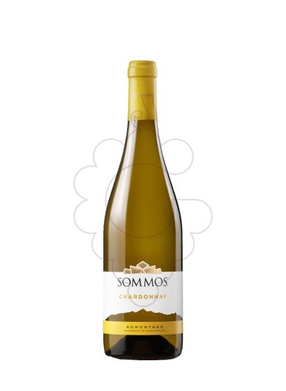 Foto Sommos Chardonnay vino blanco