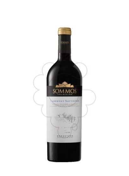 Foto Sommos Colección Cabernet Sauvignon vino tinto
