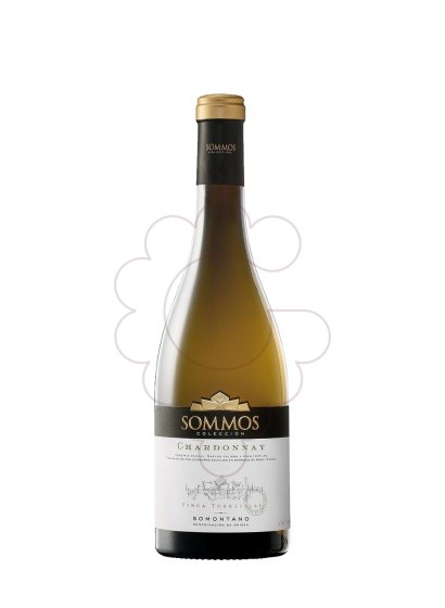 Foto Sommos Colección Chardonnay vino blanco