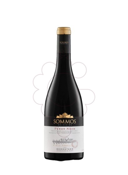 Foto Sommos Colección Pinot Noir vino tinto