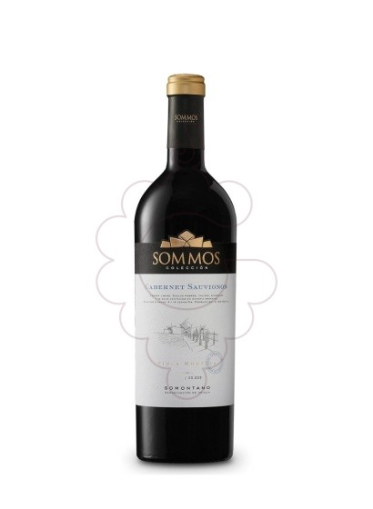 Foto Sommos Colección Sauvignon Blanc vino blanco