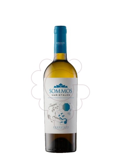 Foto Sommos Varietales Blanco vino blanco