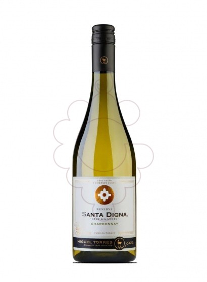 Foto Sta. Digna Chardonnay  vino blanco