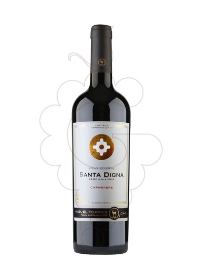 Foto Sta. Digna Carmenere vino tinto