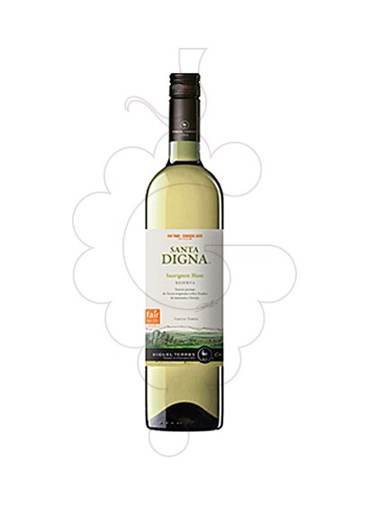 Foto Sta. Digna Xile Blanc Sauvignon vino blanco