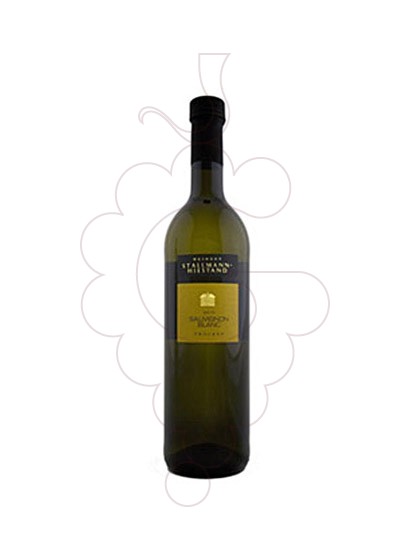 Foto Stallmann Hiestand Sauvignon Blanc vino blanco