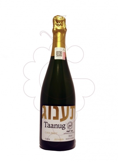 Taanug Brut Kósher