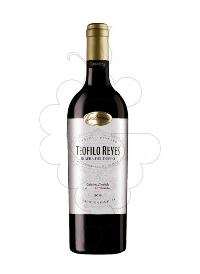 Teofilo Reyes Crianza 2021