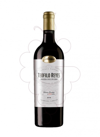 Teofilo Reyes Crianza 2020