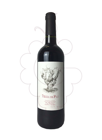 Terra De Pau Tinto 2022