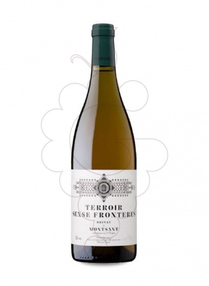 Terroir Sense Fronteres Brisat