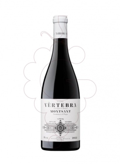 Terroir Vertebra 2021 75 Cl