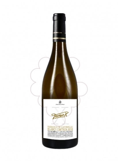 Terroir X Blanco 2022