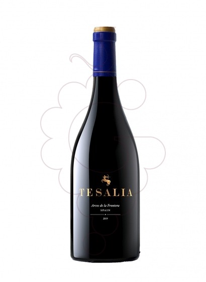 Tesalia Negre 2019 75 Cl