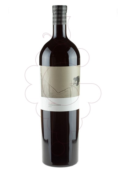 Tomás Esteban Valderiz Magnum 2017