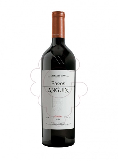Pagos De Anguix Costalara 2021