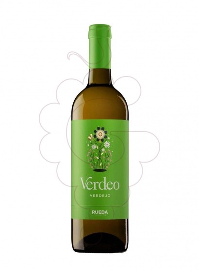 Foto Torres Verdeo Blanc  vino blanco