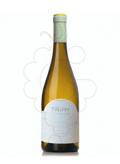 Triay Godello 2023