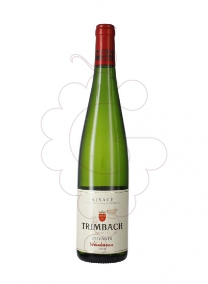 Trimbach Sylvaner
