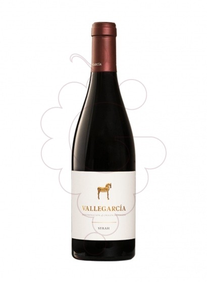 Vallegarcia Syrah 2022