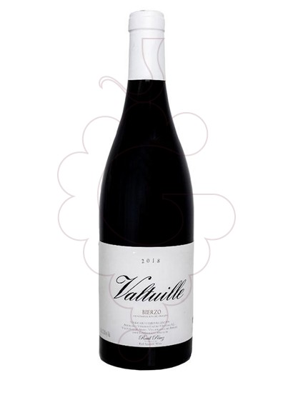 Castro Ventosa Valtuille Vino De Villa 2022