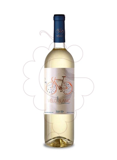 Foto Vélo Blanc vino blanco