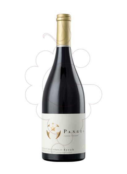 Ventisquero Pangea Syrah