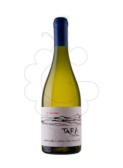 Foto Ventisquero Tara White Wine 1 vino blanco