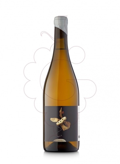 Vinyes Singulars Salinar